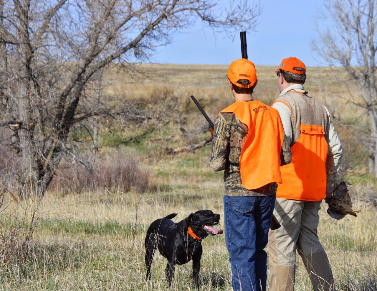 upland-game-bird-non-member-hunt-package-huntpost