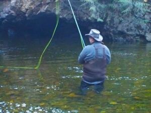 Guided Winter Steelhead Fishing on Vancouver Island 2 Anglers - HuntPost